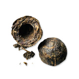 Aged Raw Pu-Erh mini Tuo Cha