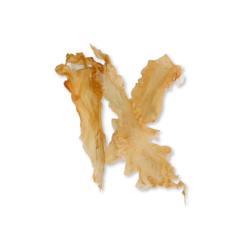 Norwegian Dried Cod Fish Maw Extra Large ACE Nutritions Inc