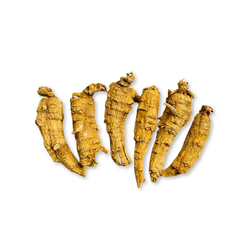 Canadian Ginseng Root- Jumbo Med Chunky